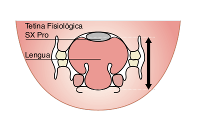 Tetina fisiológica SX Pro